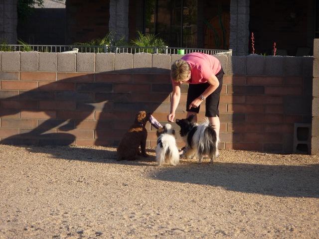 [P10009262.jpg]