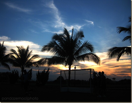 IMG_2931 IMG_2931