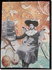 Nova Atc Nova Atc