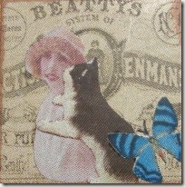 Kitty kisses Kitty kisses