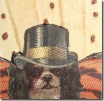 funky dog funky dog