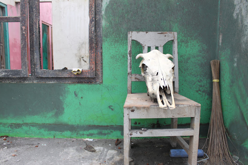 Srunen VIllage_Merapi Eruption_Jogjakarta_Indonesia_Aftermath_Cow Skull