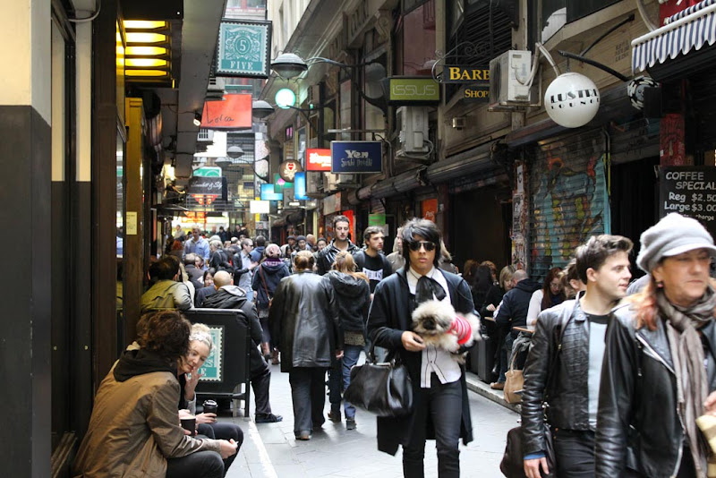 Degraves Street_Melbourne_Cool Dog_Australia