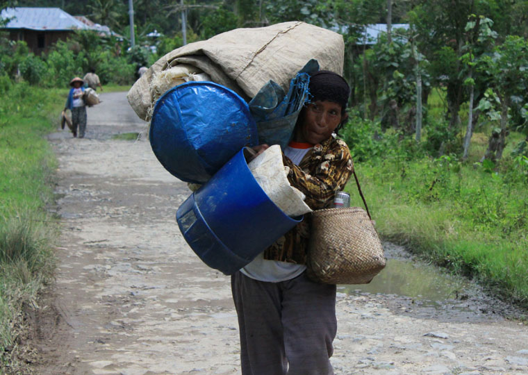 carrying load, lampung
