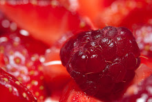raspberry impreshunz