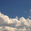 Previous