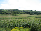 Tittisee, Black Forest Slideshow