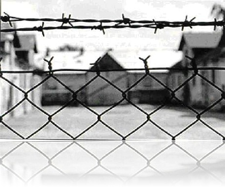 giornata_della_memoria giornata_della_memoria