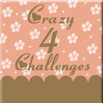 Crazy 4 Challenges