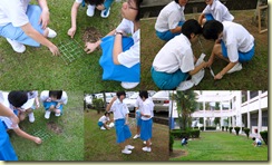 2010-07-292 2010-07-292