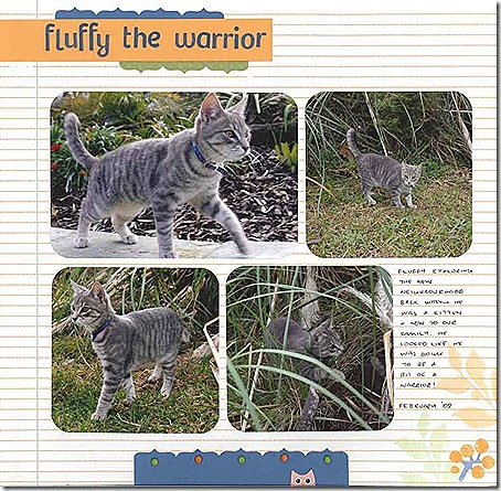 Fluffy the warrior