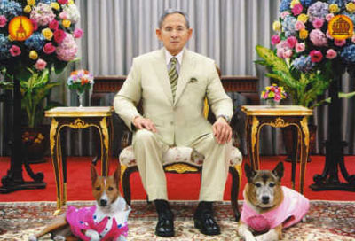 ส.ค.ส. พระราชทาน ประจำปี 2554