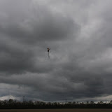 IMG_7190.JPG