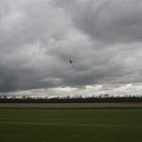 IMG_7192.JPG