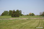 DPP_0022.jpg
