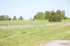 DPP_0026.jpg