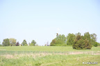 DPP_0025.jpg