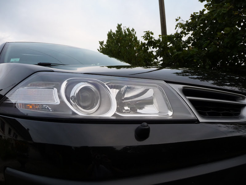 http://lh3.ggpht.com/_5VtW-U7_QnI/SqlepTigPEI/AAAAAAAAILI/S5Iyzsxue6o/s800/P1050293.JPG