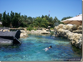 Discovery Cove Orlando