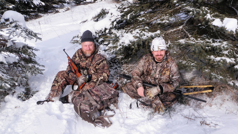 Зимние прогулки по лесу