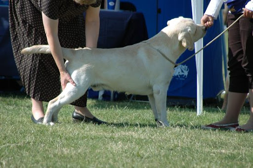  2008