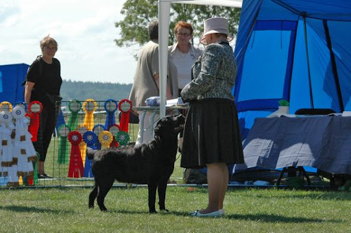  2008