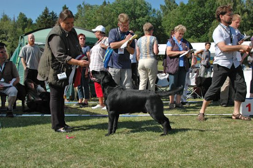  2008