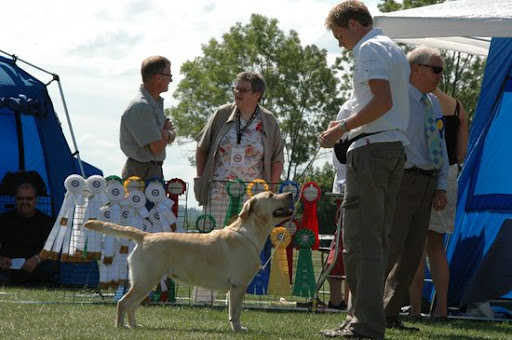  2008