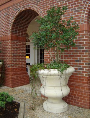 Fiberglass planter