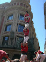 http://lh3.ggpht.com/_5a5BMitFeFE/Sfw4jFaKfiI/AAAAAAAAEf8/To7q9r092HA/CIMG6757.JPG
