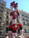 http://lh3.ggpht.com/_5a5BMitFeFE/SfwxVFgChyI/AAAAAAAAEck/G24y27NYIco/CIMG6716.JPG