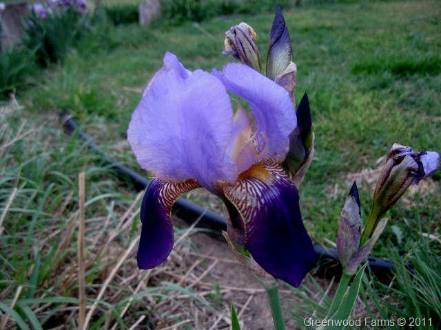 [IMG_344913.jpg]