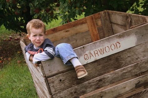 [ApplePicking2009292.jpg]