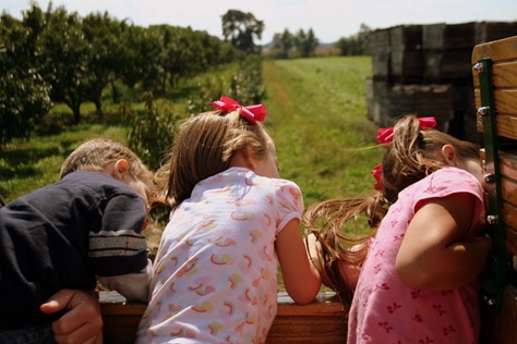 [ApplePicking200912.jpg]