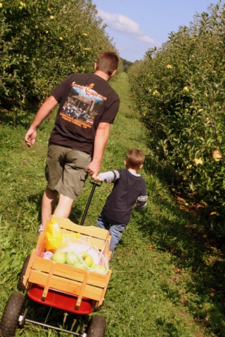 [ApplePicking200992.jpg]