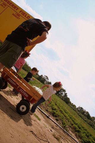 [ApplePicking2009162.jpg]