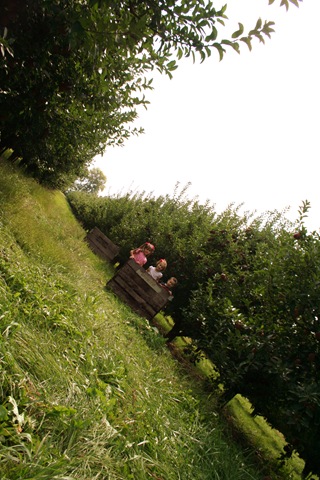 [ApplePicking2009242.jpg]