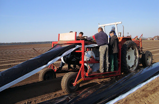 vanderpalen_agro_soerendonk (10).jpg