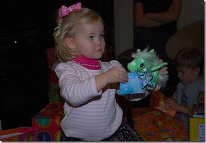 DSC_0395 DSC_0395