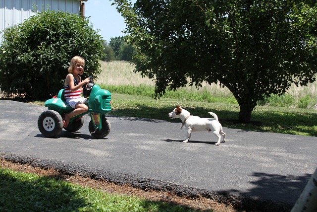 [IMG_1387 (2)[5].jpg]