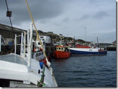 P9211774
