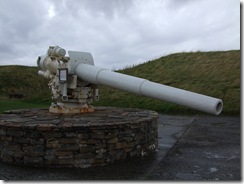 DSCF1773