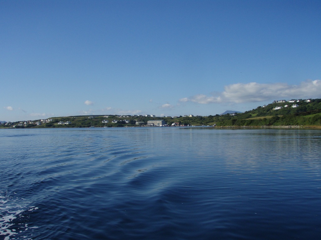 [P81524913.jpg]