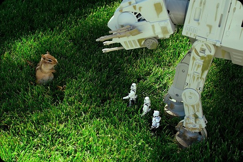 star wars squirrels