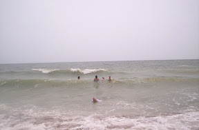 000_0393.jpg 000_0393.jpg