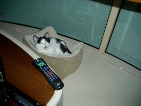 CIMG0546.JPG
