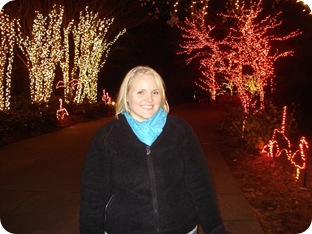 Lights Before Christmas 2009