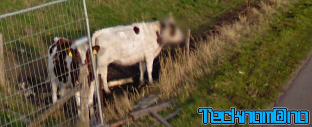 13 imagenes inéditas captadas en Google Maps