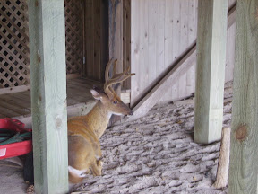 PICT1634.JPG