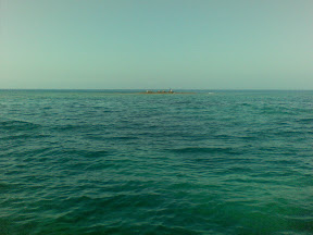 05082008(016).jpg